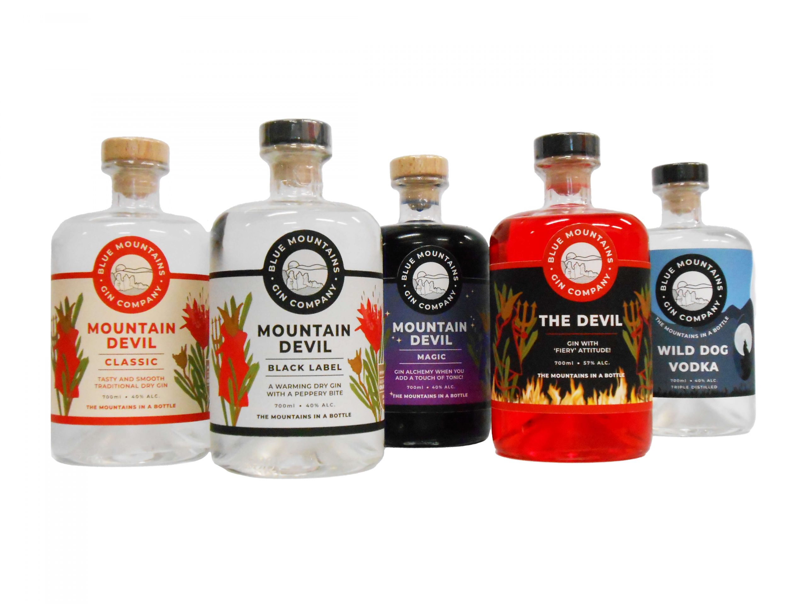 The five products in the Blue Mountains Gin Company range.