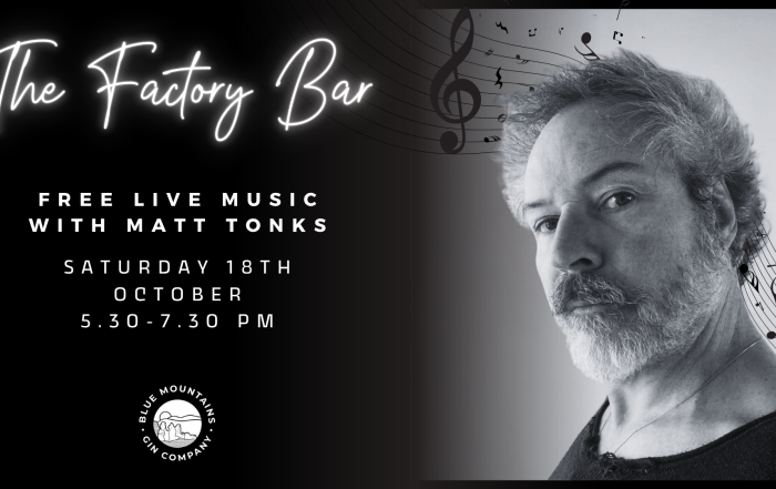 Matt Tonks performing live at The Factory Bar in Katoomba