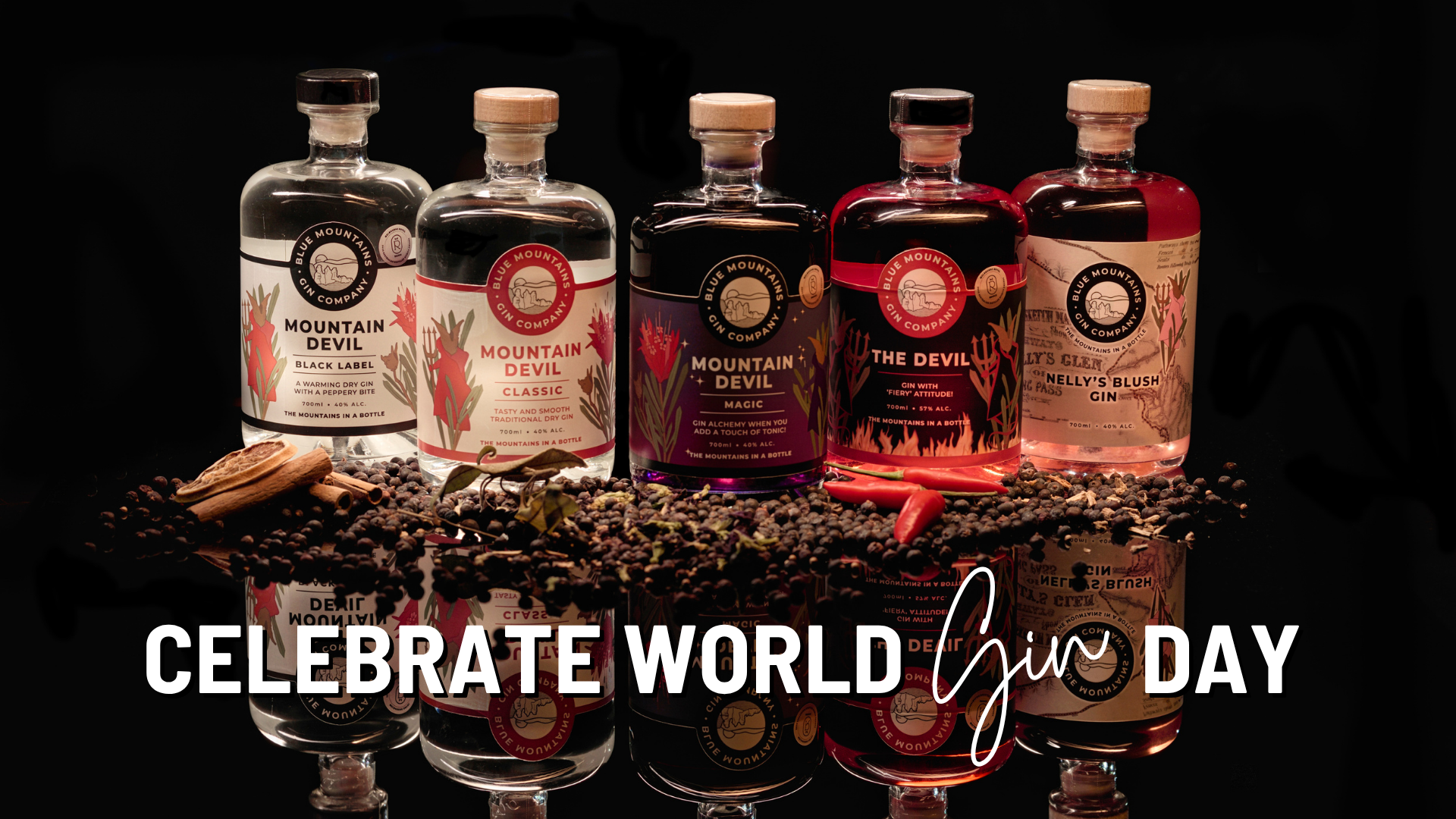 World Gin Day Blue Mountains Gin Company